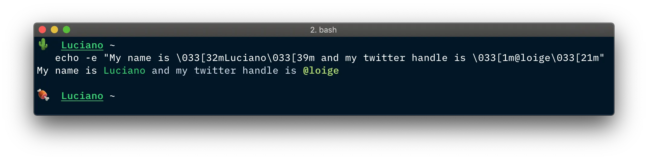 Formatted text in a Bash terminal