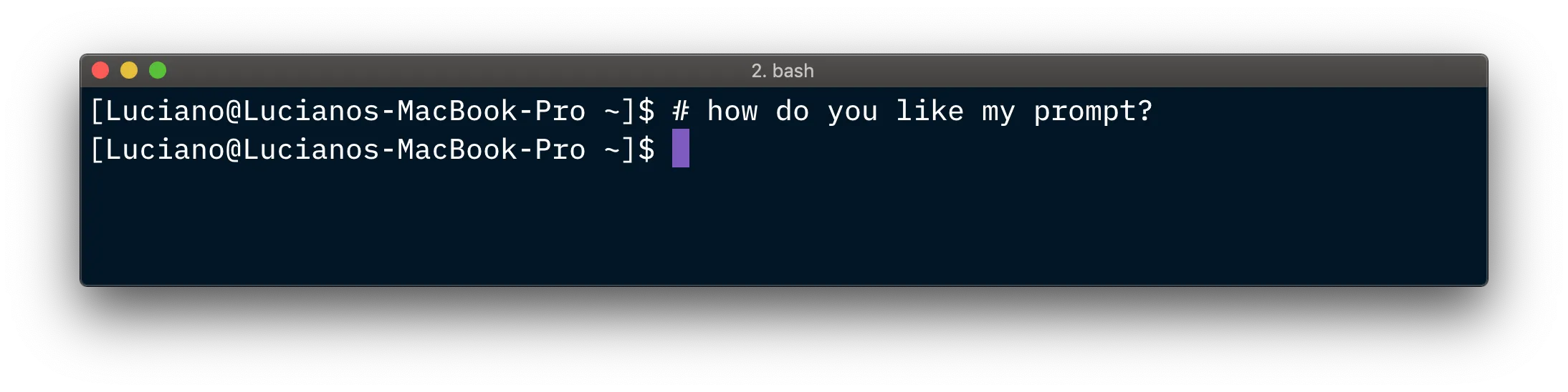 Sample terminal bash prompt