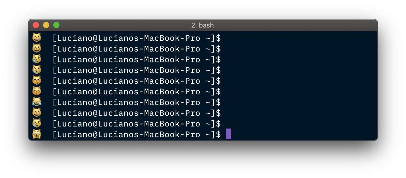 A terminal full of random emoji cats